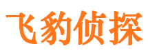 浉河捉小三公司